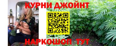 дмт Гудермес