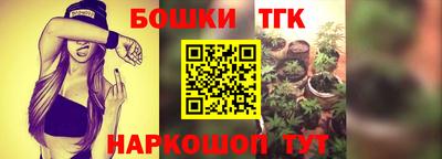 дмт Гудермес