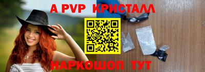 дмт Гудермес