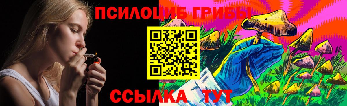 Псилоцибиновые грибы MAGIC MUSHROOMS Печора